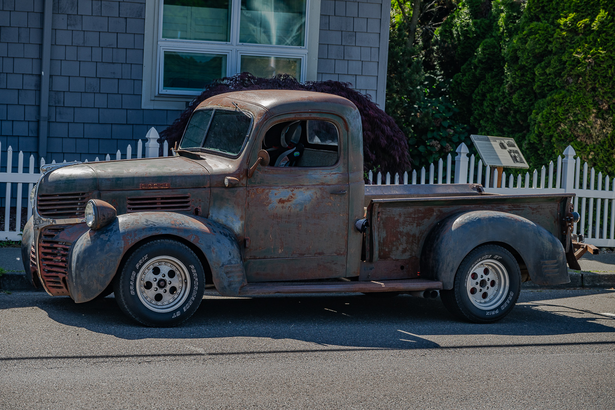 DSC_5621.jpg