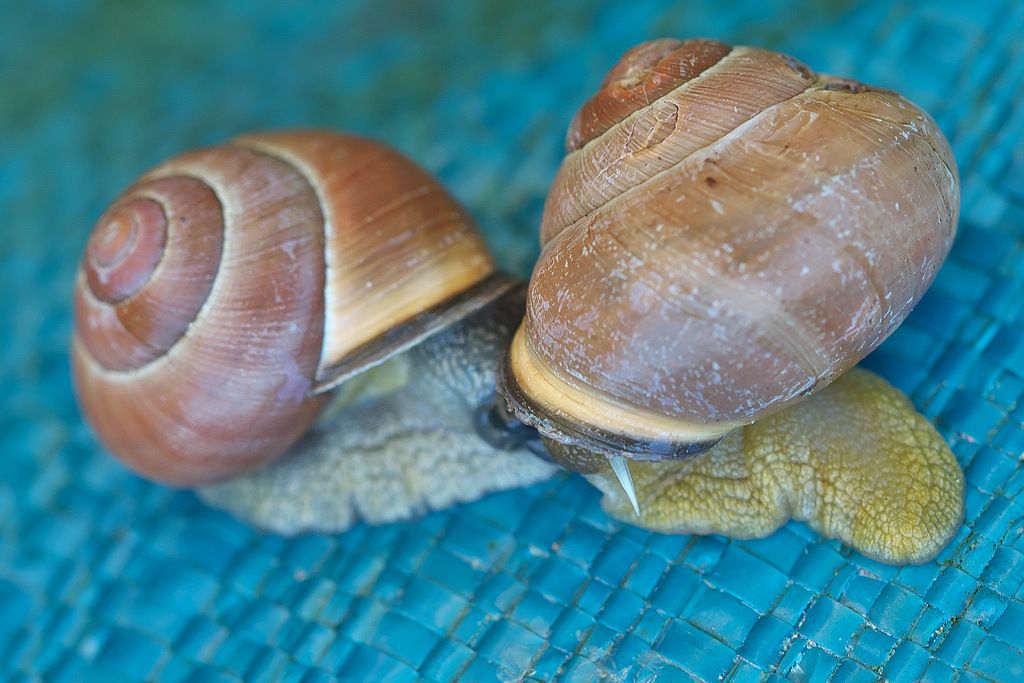 DSC_5642 Kopie.jpg