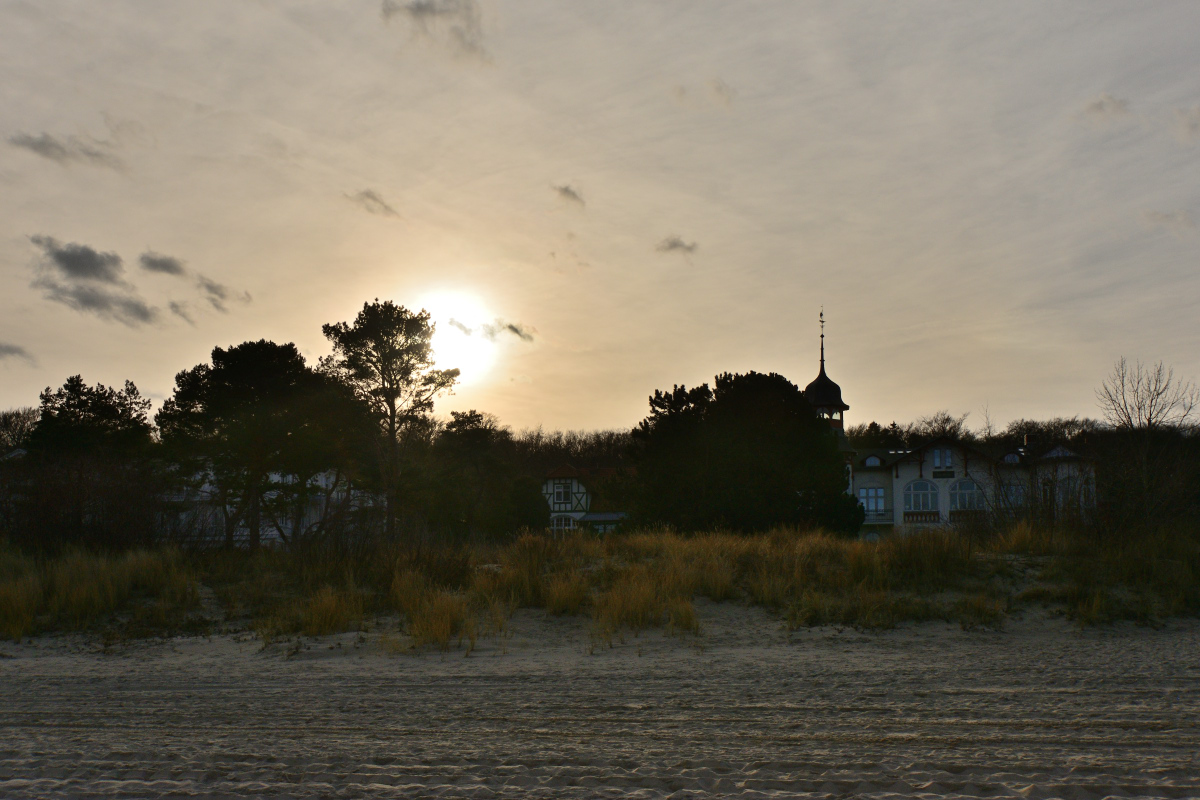 DSC_5669.JPG