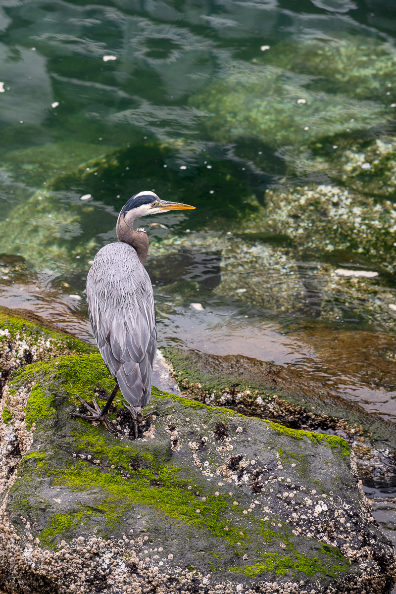 DSC_5679.jpg