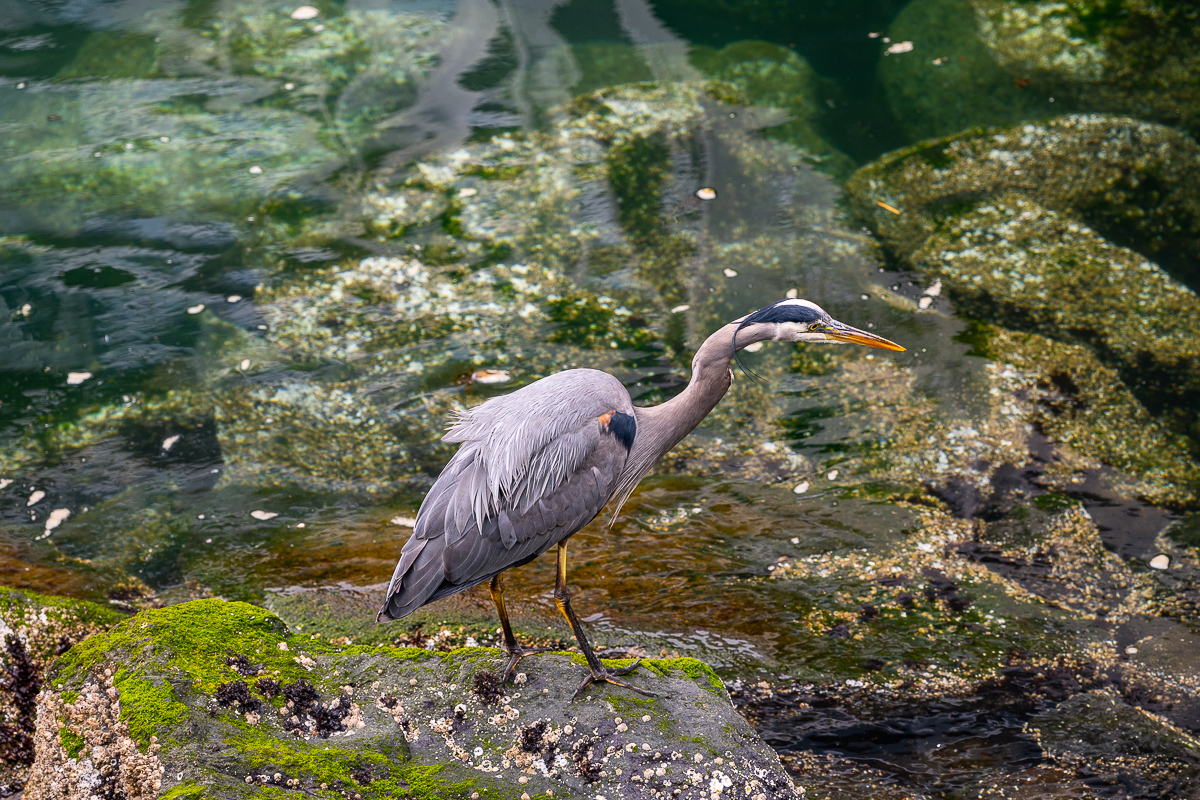 DSC_5682.jpg
