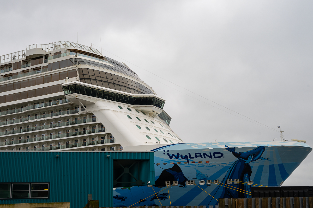 DSC_5685.jpg
