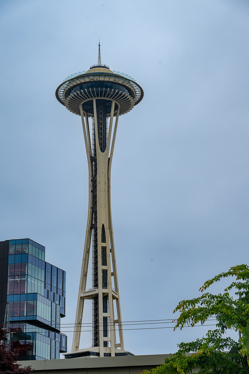 DSC_5688.jpg
