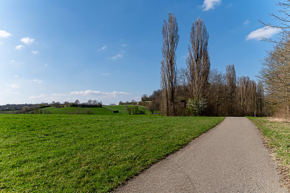 DSC_5690-2.jpg
