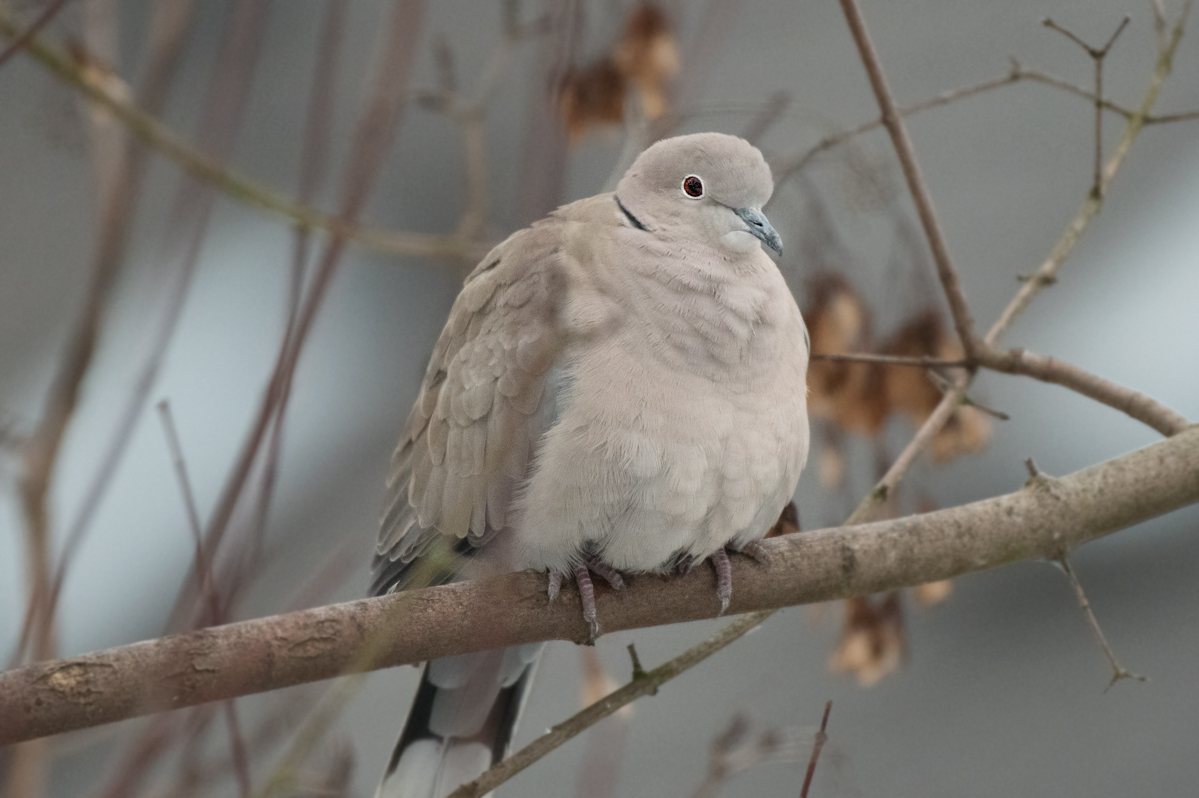 DSC_5698.jpg