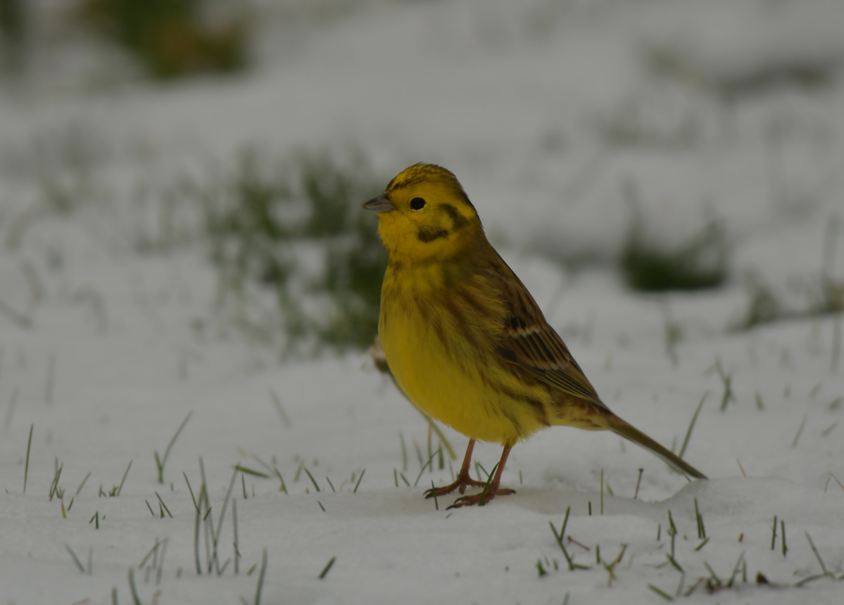 DSC_5706.jpg