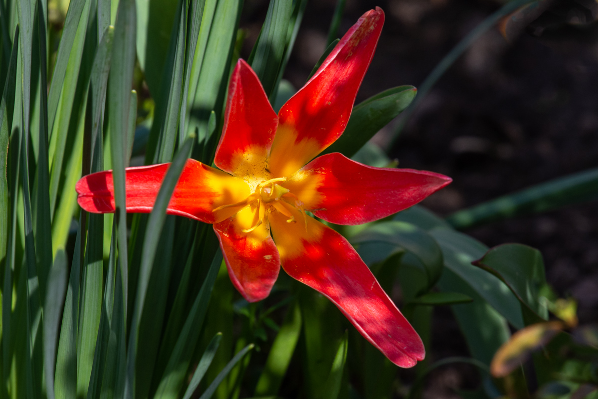 DSC_5782.jpg