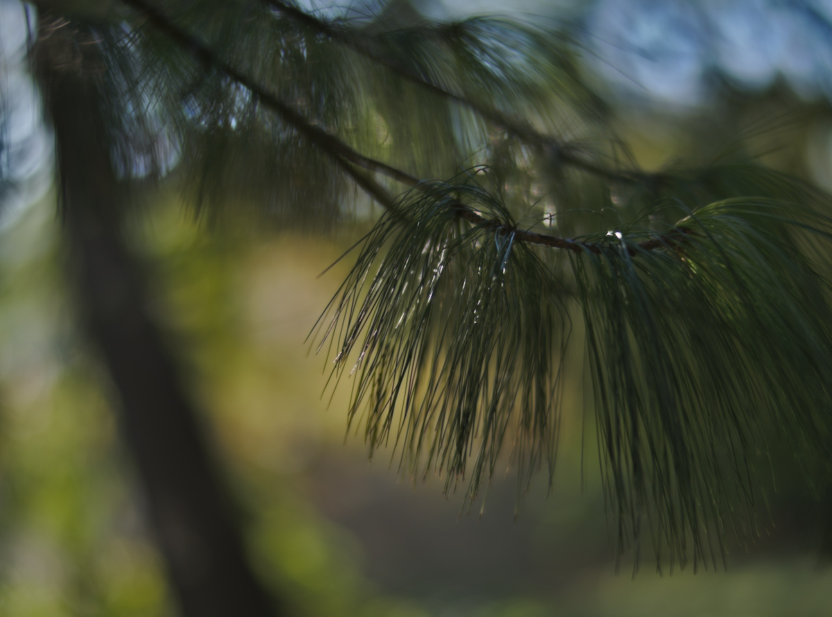 DSC_5827.jpg