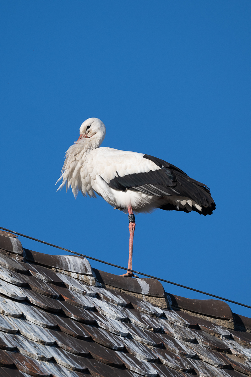 DSC_5835.JPG