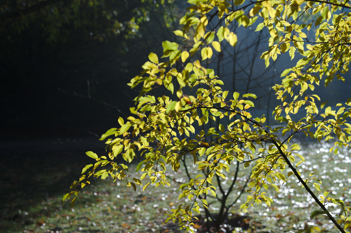 DSC_5843.jpg
