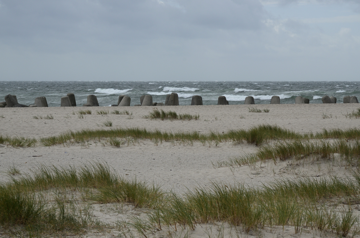 DSC_5871.JPG