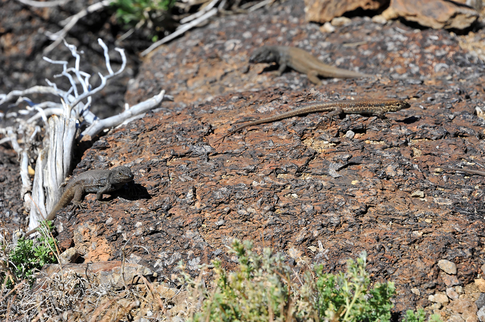 DSC_5878.jpg