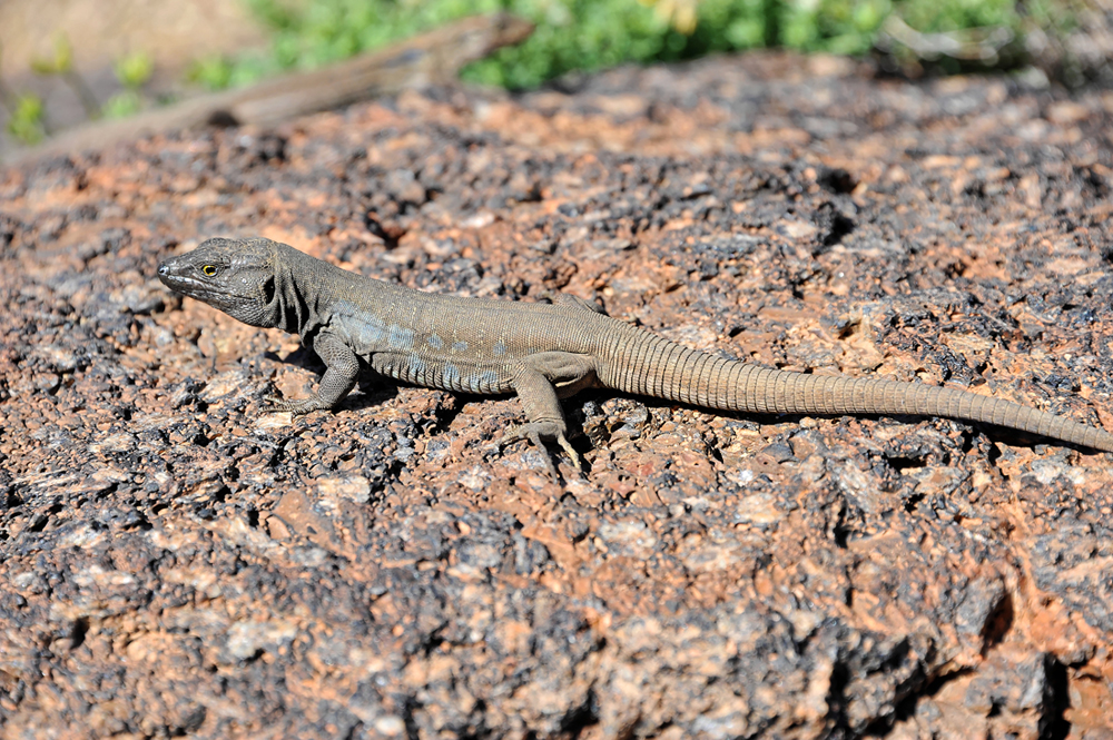 DSC_5880.jpg
