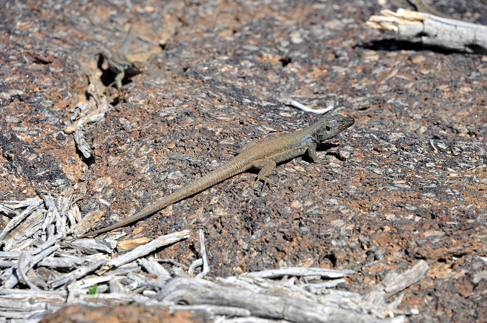 DSC_5882.jpg