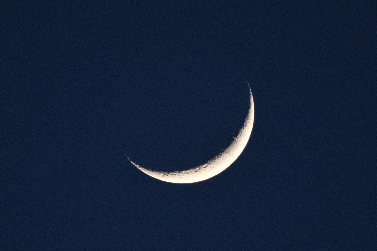 DSC_5890.JPG