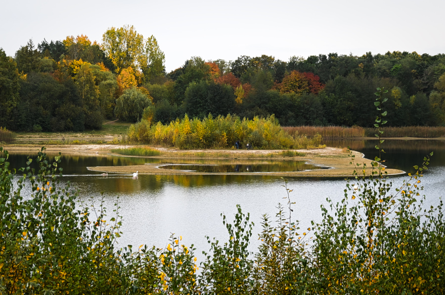 DSC_5913.jpg