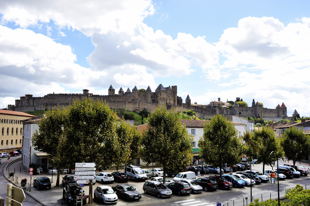 DSC_5933.jpg