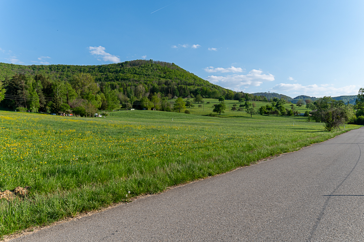 DSC_5970.jpg