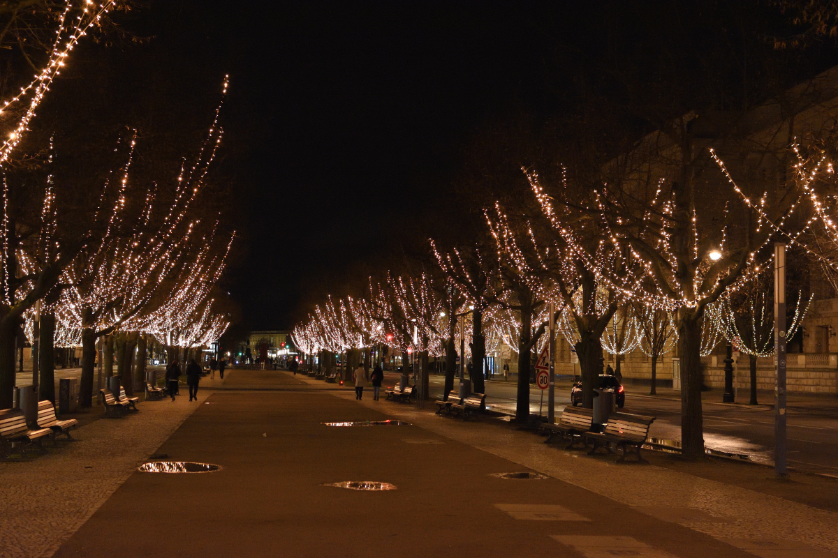 DSC_5972.JPG