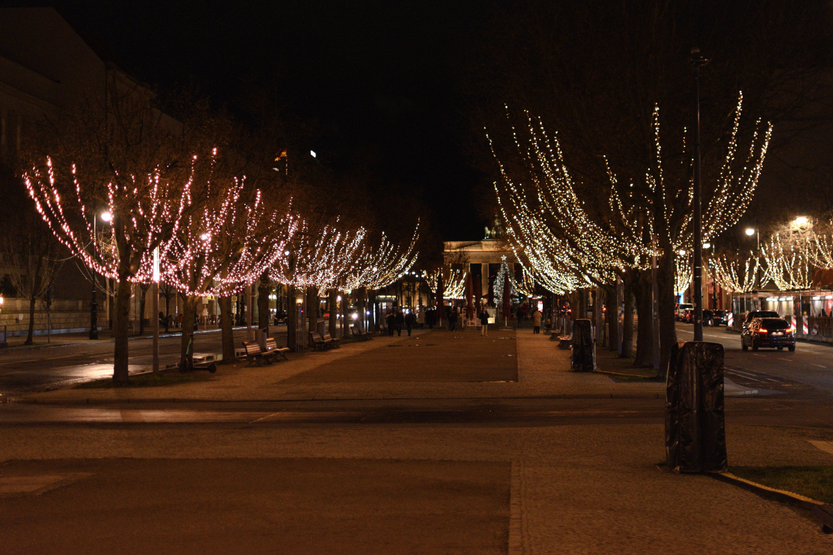 DSC_5989.JPG