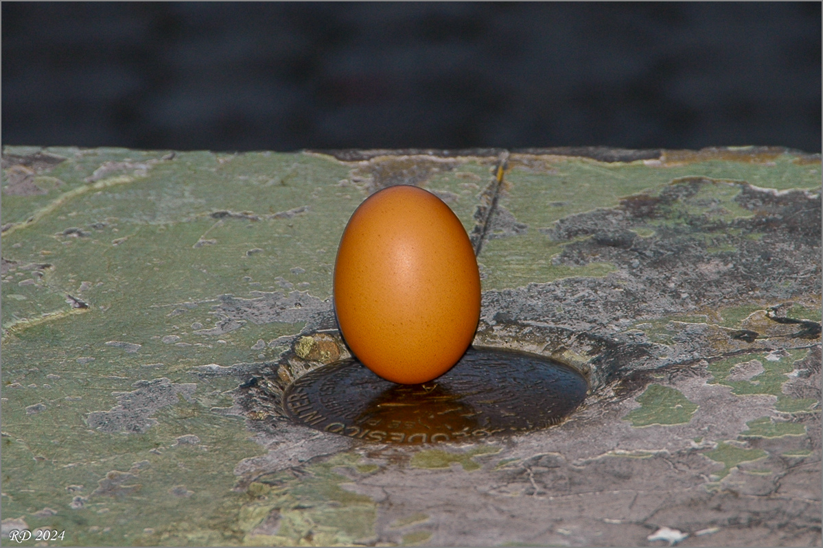 DSC_6111.jpg