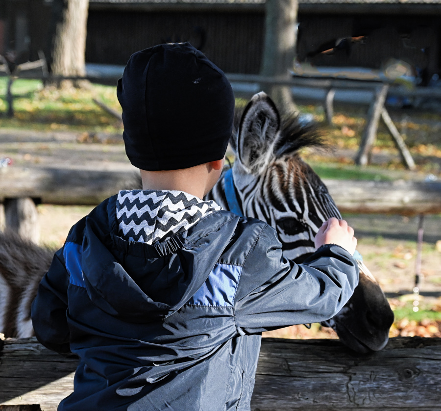 DSC_6130.JPG