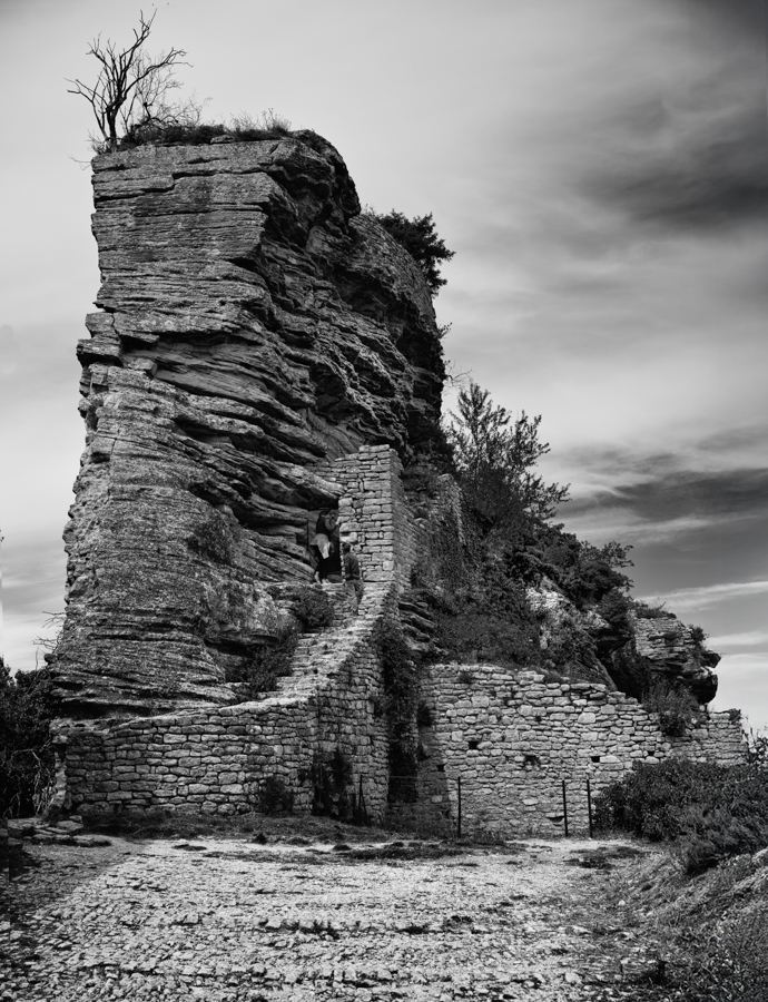 DSC_6136-Bearbeitet-sw.jpg
