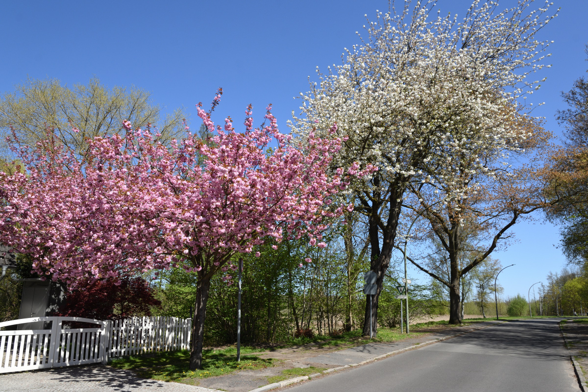 DSC_6147.JPG