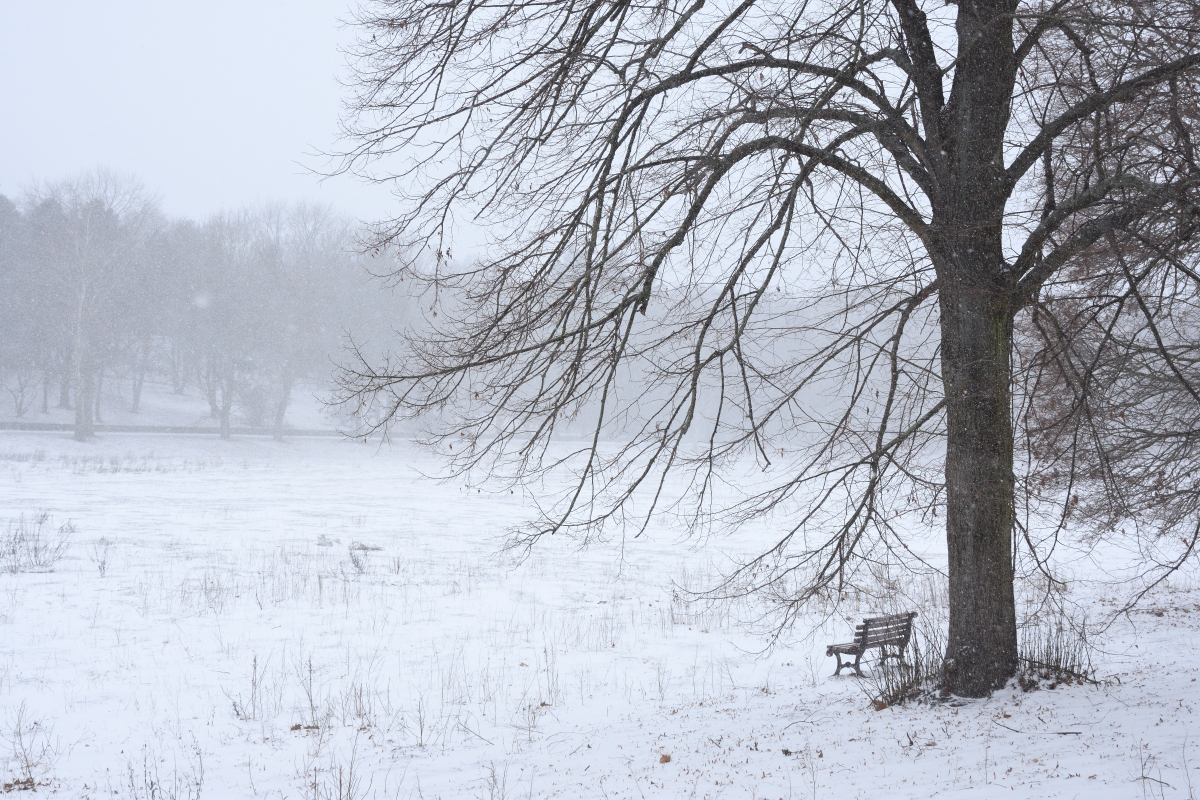 DSC_6172.JPG