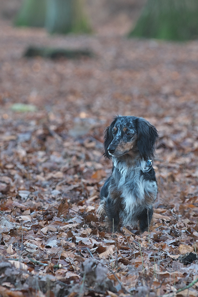 DSC_6173.jpg