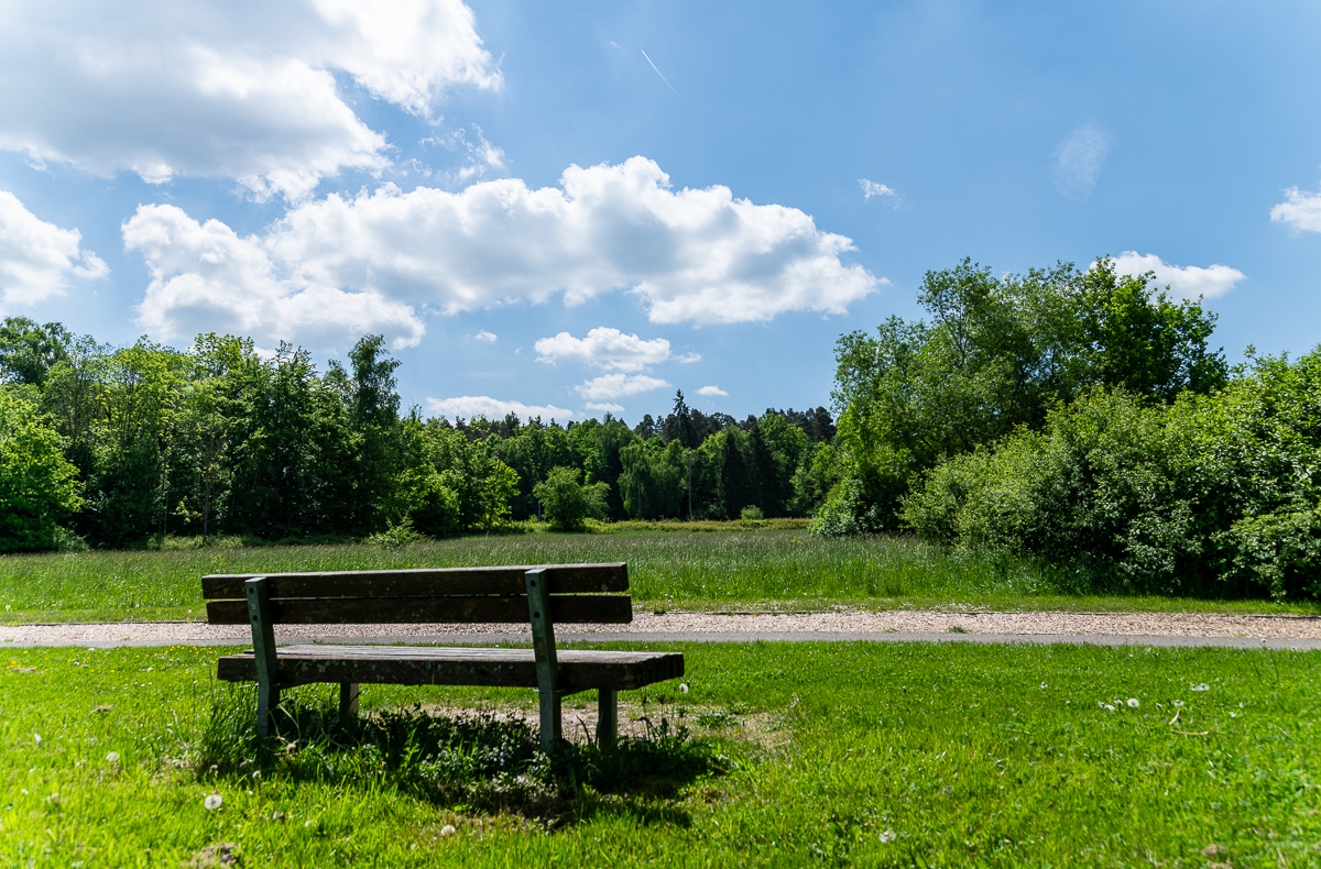 DSC_6186.jpg