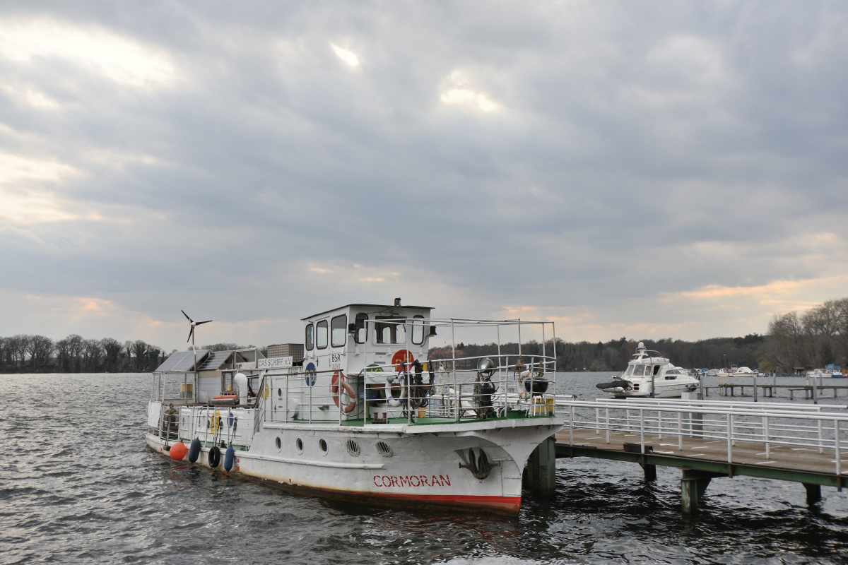 DSC_6314.JPG