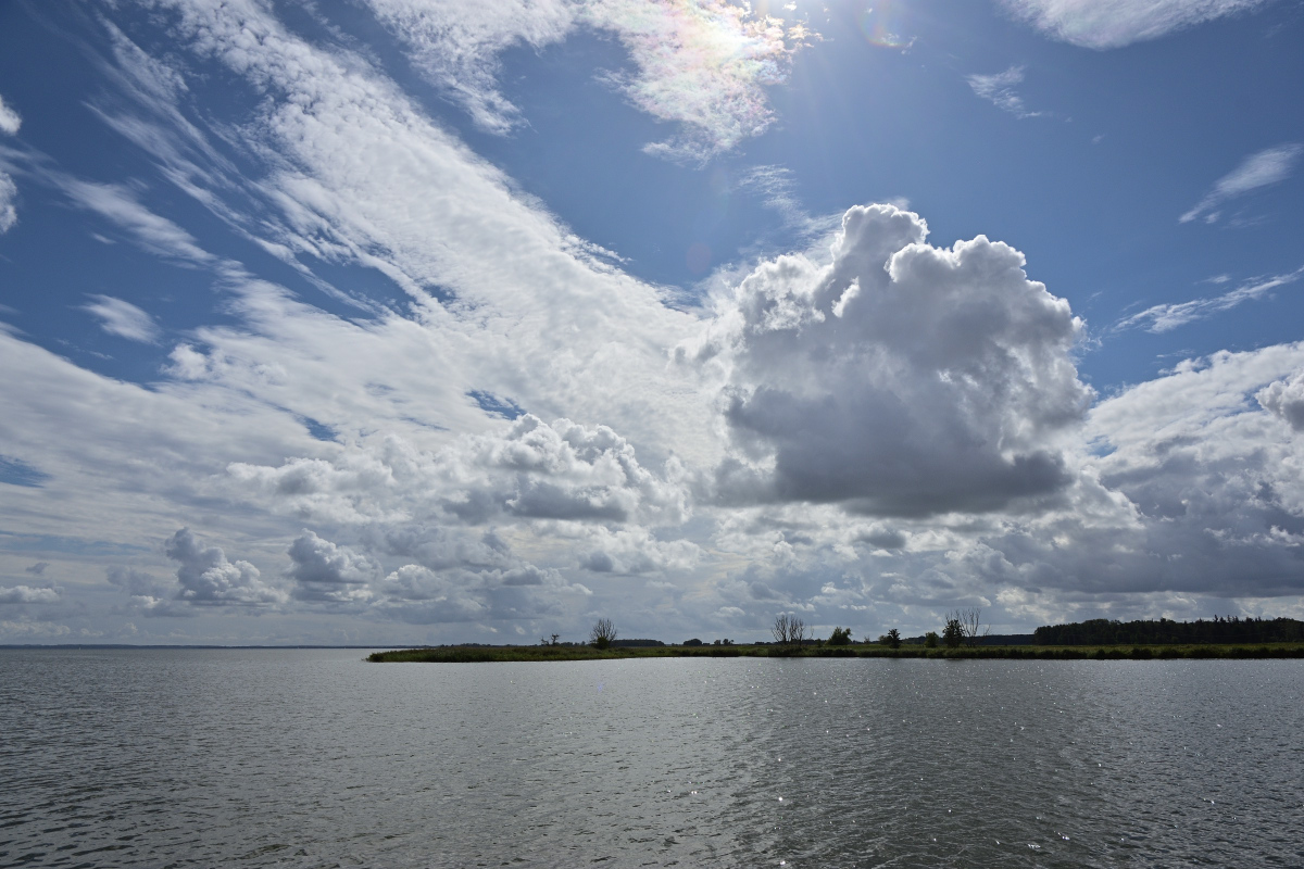 DSC_6314.JPG