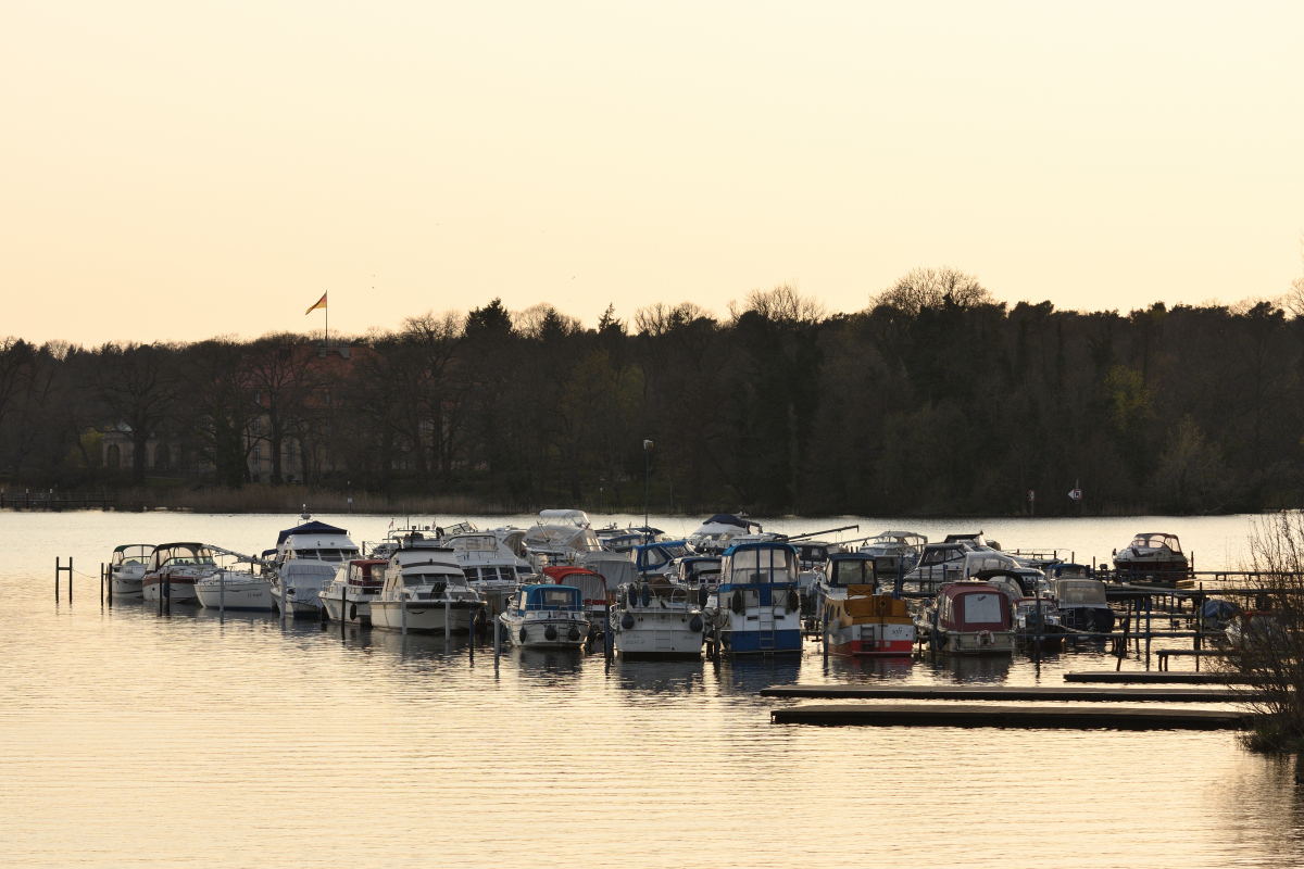 DSC_6348.JPG