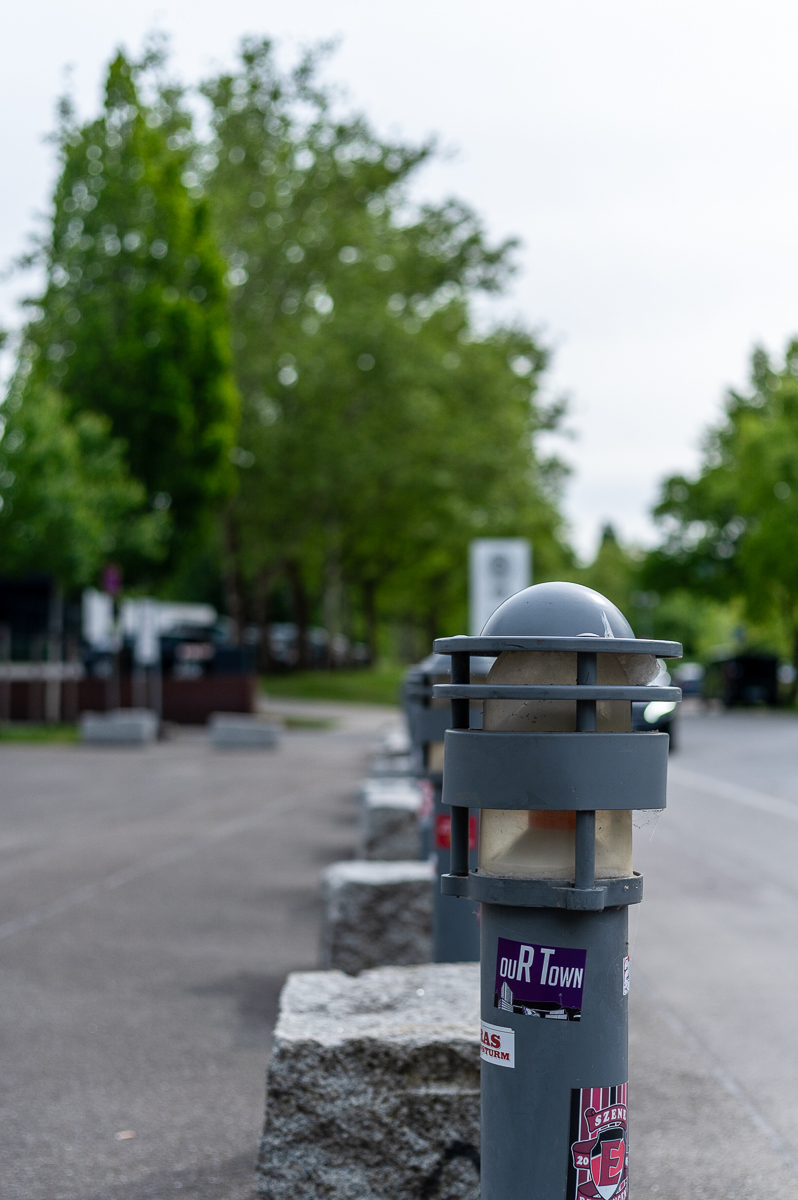 DSC_6368.jpg
