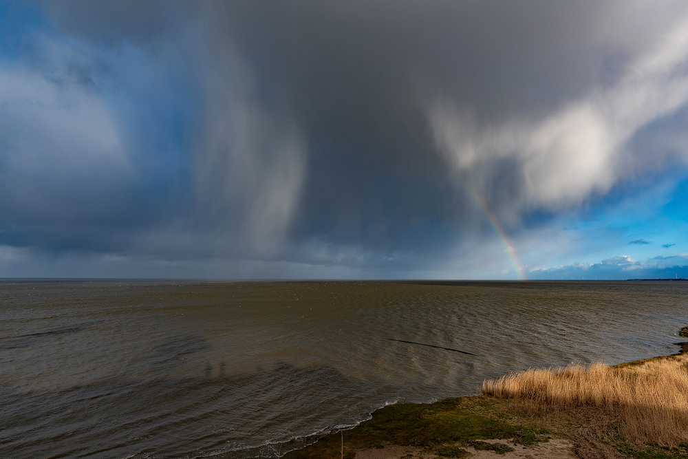 DSC_6377.jpg