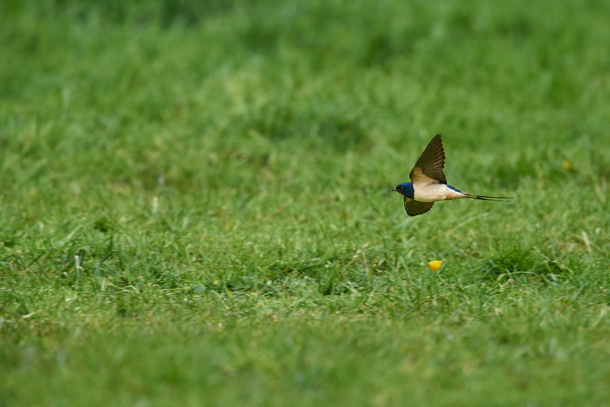 DSC_6379 1.jpg