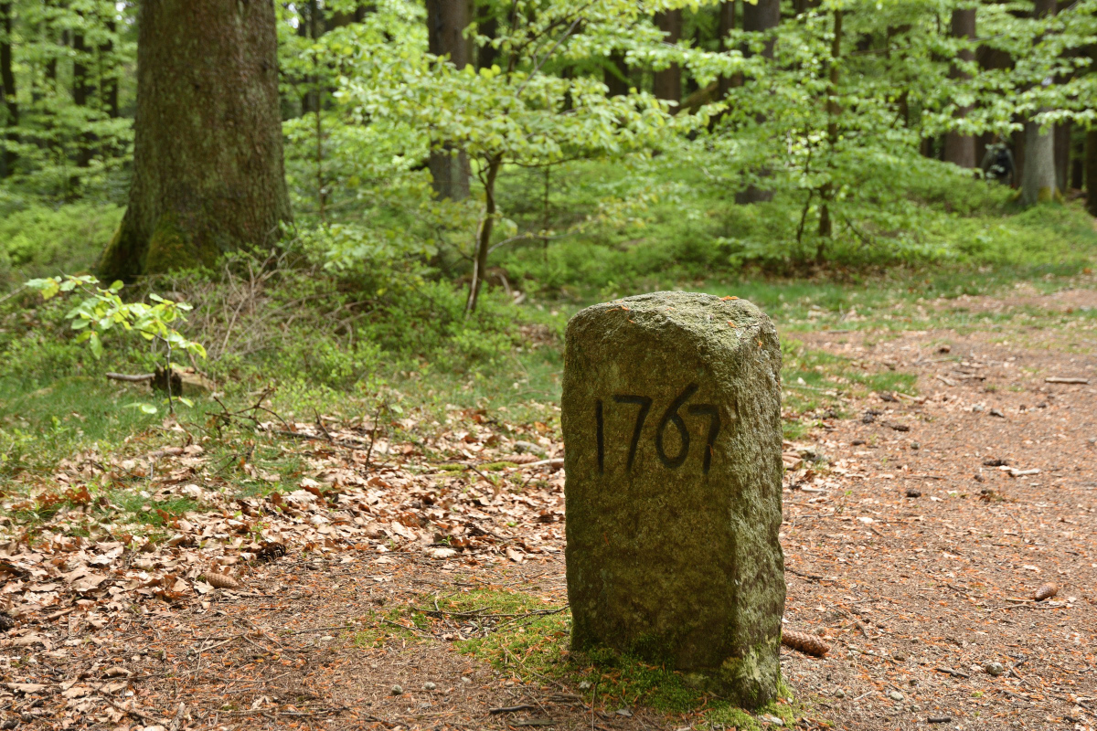 DSC_6383.JPG