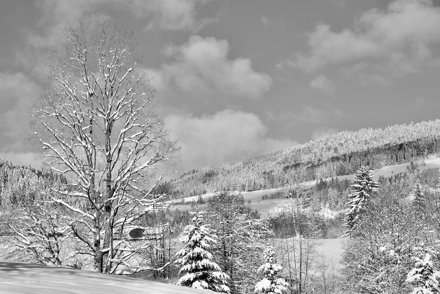 DSC_6441.jpeg