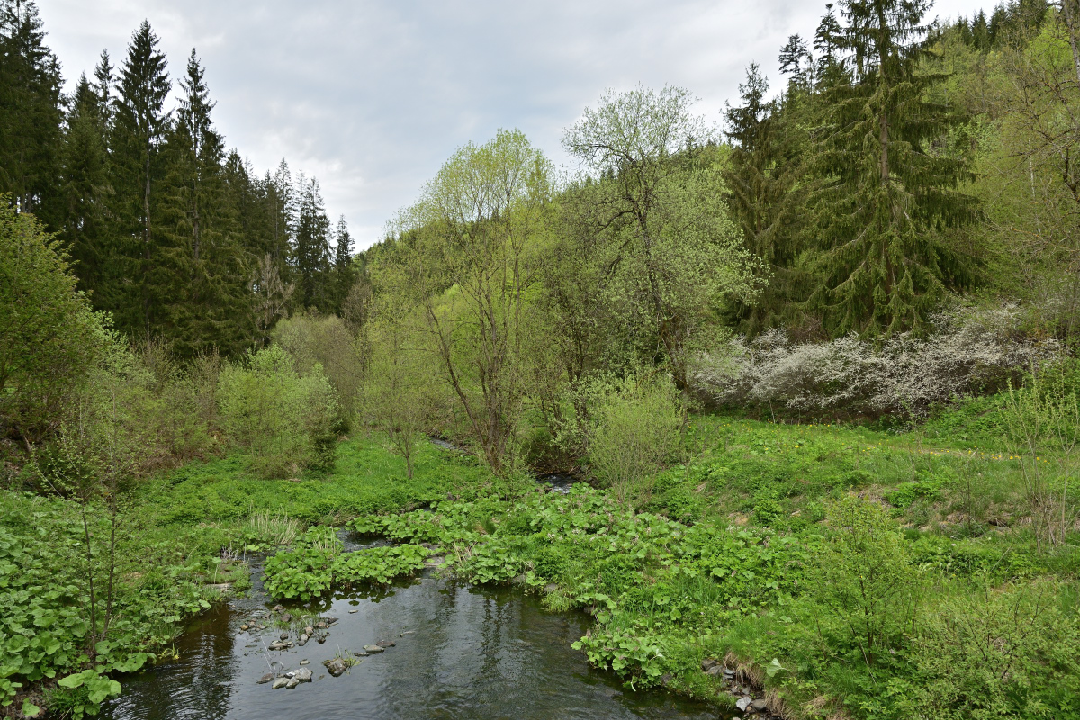 DSC_6489.JPG