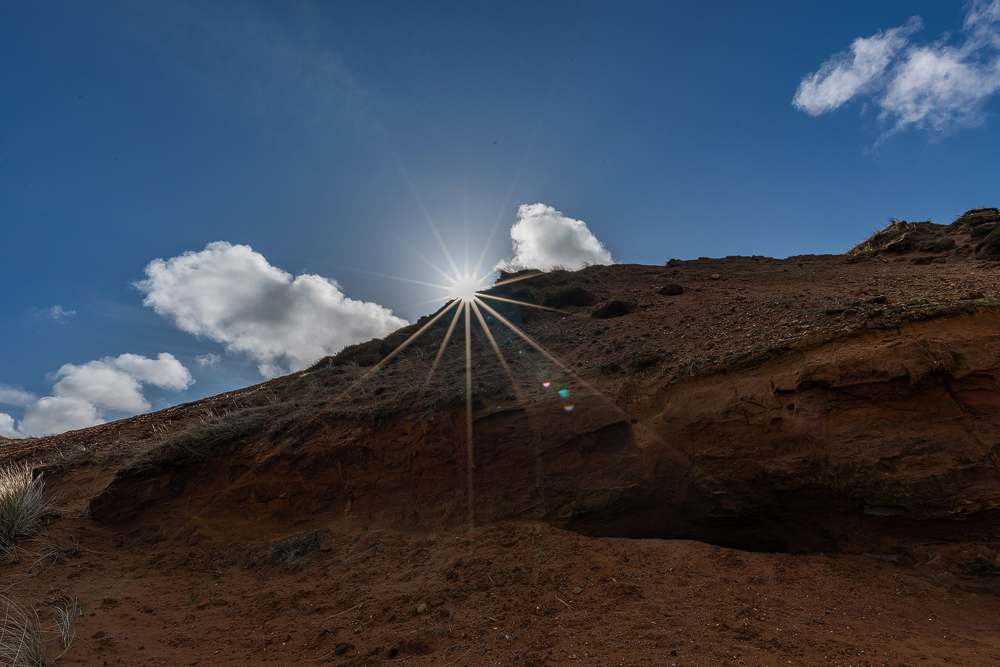 DSC_6495.jpg