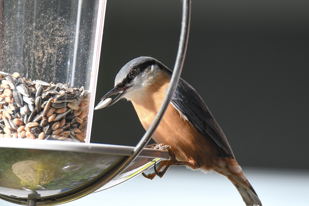 DSC_6514.jpg