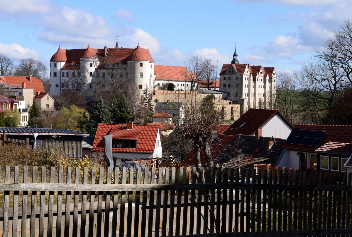 DSC_6537_00001 (2)n.jpg