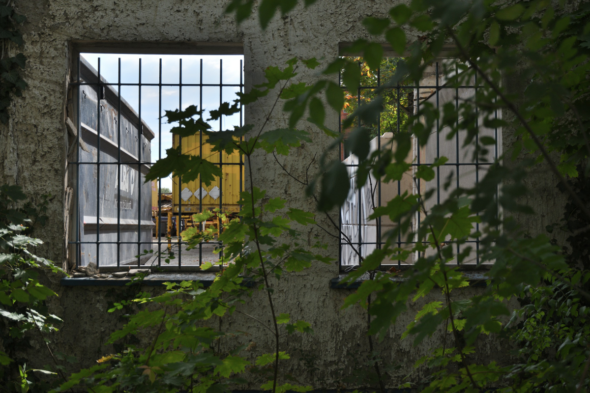 DSC_6550.JPG