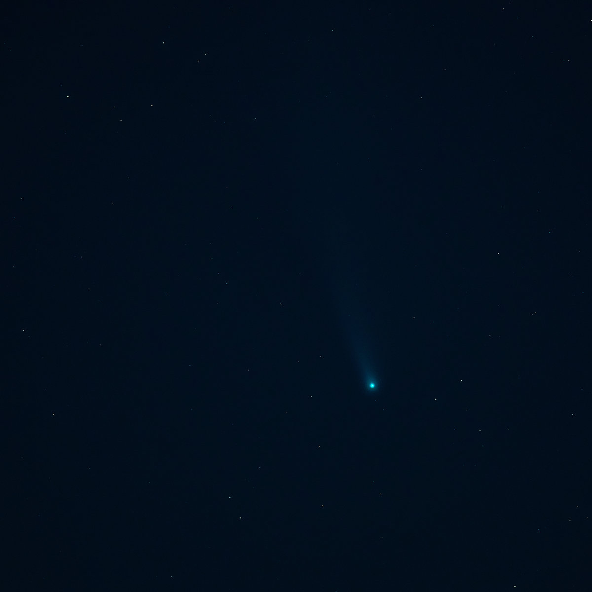 DSC_6568.jpg