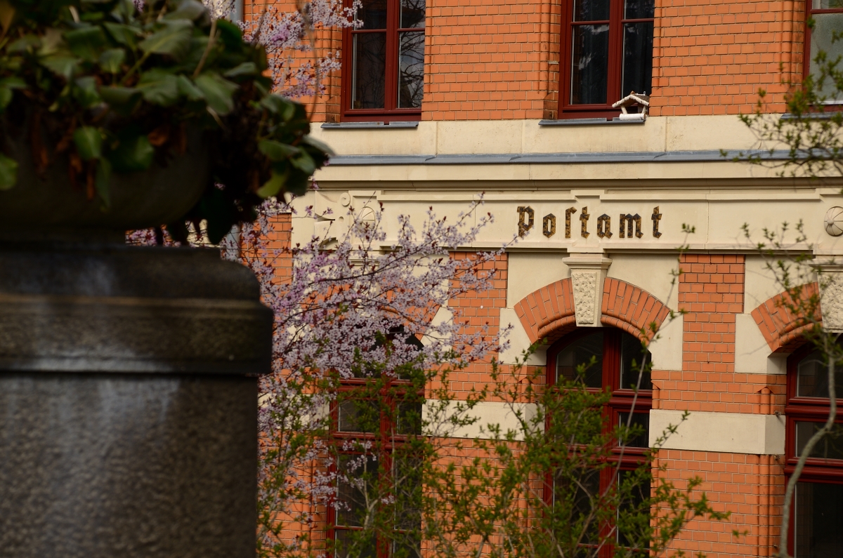DSC_6577_00001n.jpg