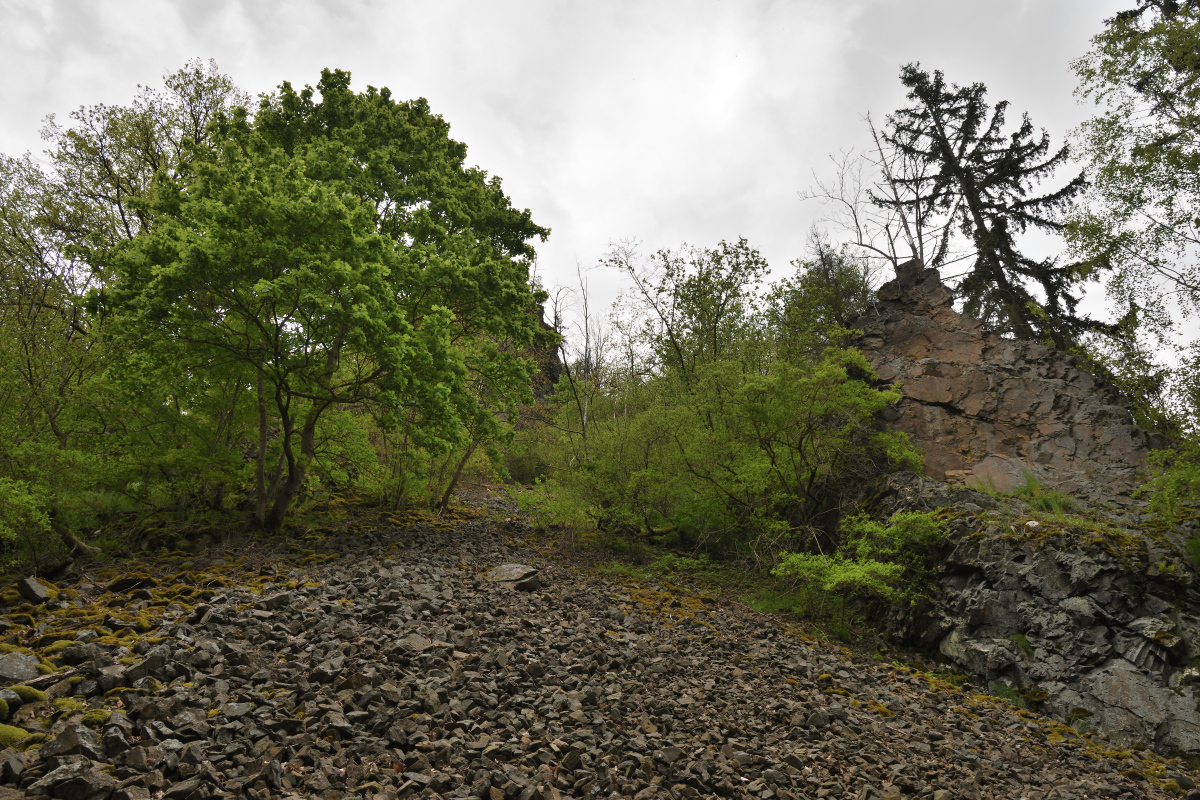 DSC_6607.JPG