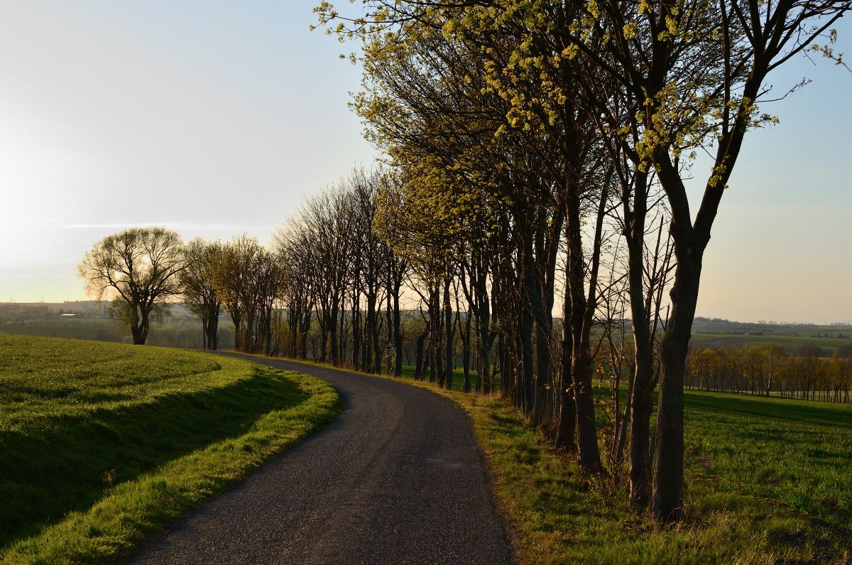 DSC_6643_00001n.jpg