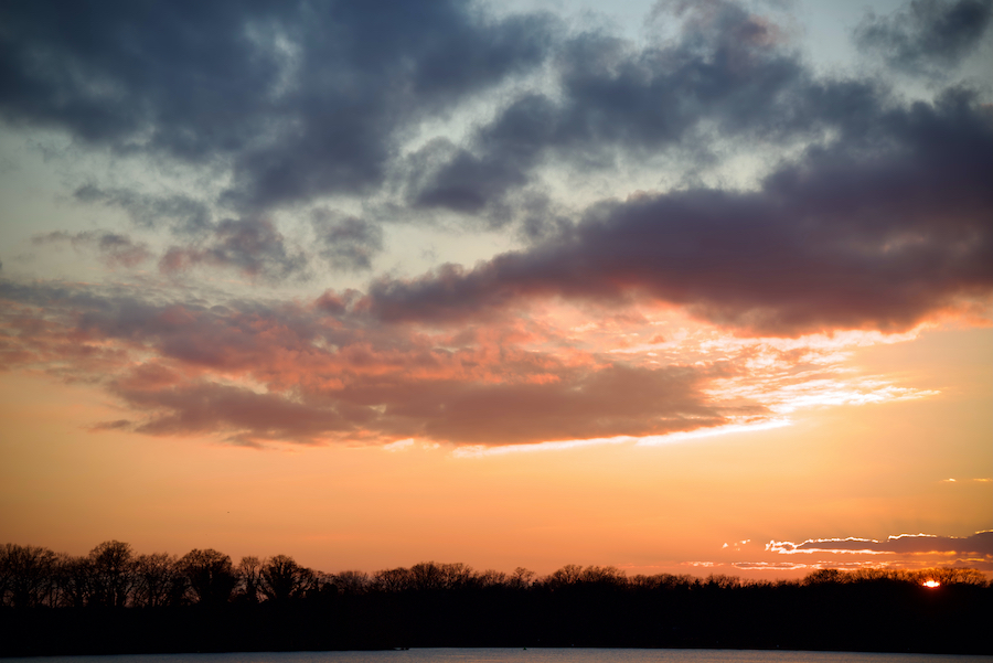DSC_6669.jpeg