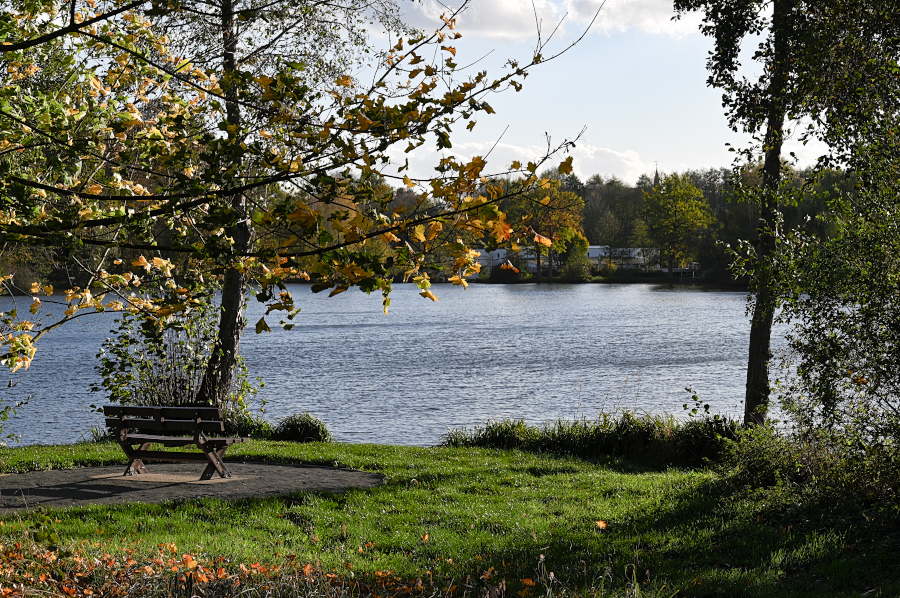 DSC_6681.jpg